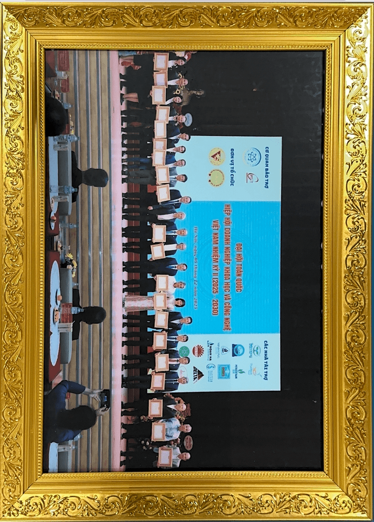 Hình ảnh Daphovina 2025